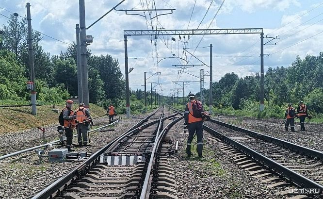 Железнодорожники освободили от сорной растительности более 110 га полосы отвода железной дороги в Орловской области