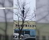 Ледопад в Орле продолжается, новым начальником управления землепользования станет директор МУП «Коммунальник». Новости за 90 секунд