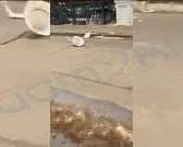 Видео: рухнувший на мосту в Орле плафон едва не упал на головы прохожих