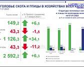За чашкой кофе говорили о вещах вполне себе серьёзных. Орёлстат пригласил журналистов, чтобы сообщить интересные сведения из жизни нашего региона
