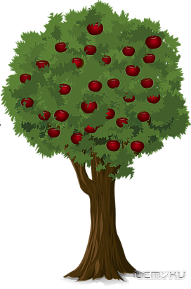 В Орловскую область ввезли 47 тысяч саженцев польских яблонь