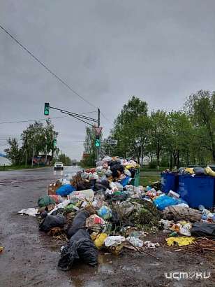 «Две недели тухнет мусор»