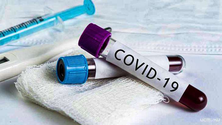 Ученые вычислили нужное количество антител для защиты от COVID-19