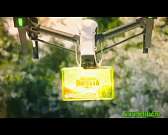 «Белевские сладости»: самое любимое — самым любимым