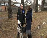 Один — друг человека: почему собака носит имя бога скандинавской мифологии