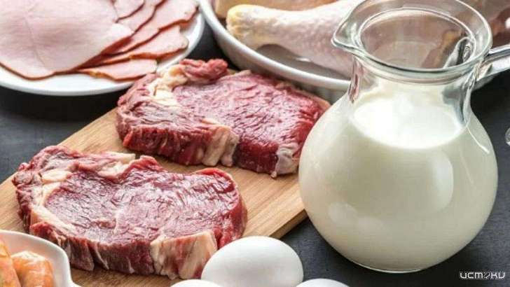 Орловчанам расскажут, как проверяют мясо и молоко перед отправкой за рубеж