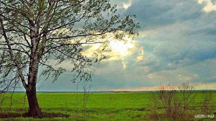 Пасмурная погода ждет сегодня орловчан