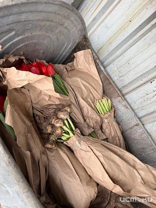 Орловчане фотографируют кучи цветов, не проданных на 8 марта