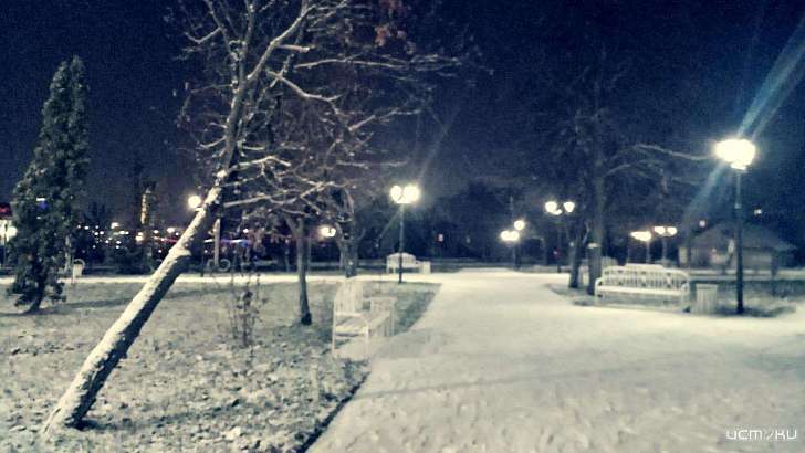 Снег и +3 °C: начало рабочей недели в Орле будет теплым