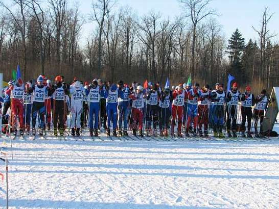 В Медведевском лесу пройдёт Кубок города Орла по лыжным гонкам