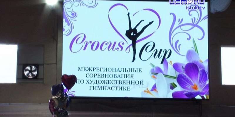 Crocus Cup в Орле: за звание самой грациозной боролись около 300 гимнасток