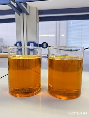 Орловское соевое масло экспортировали в Индию 