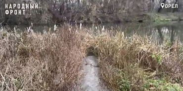 Народный фронт заявил об экологической катастрофе в Орле