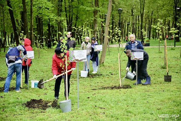 Орловская область вновь присоединится к Международной акции «Сад Памяти»