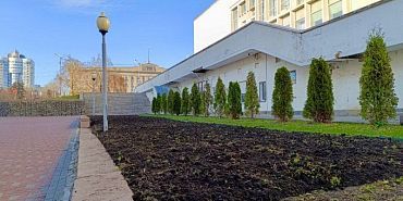 Весной орловские клумбы украсят тысячи тюльпанов