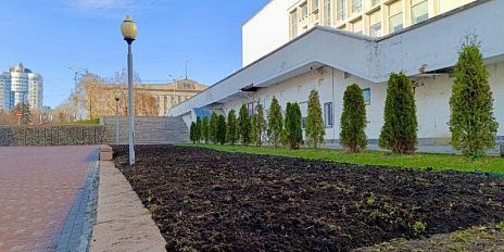 Весной орловские клумбы украсят тысячи тюльпанов