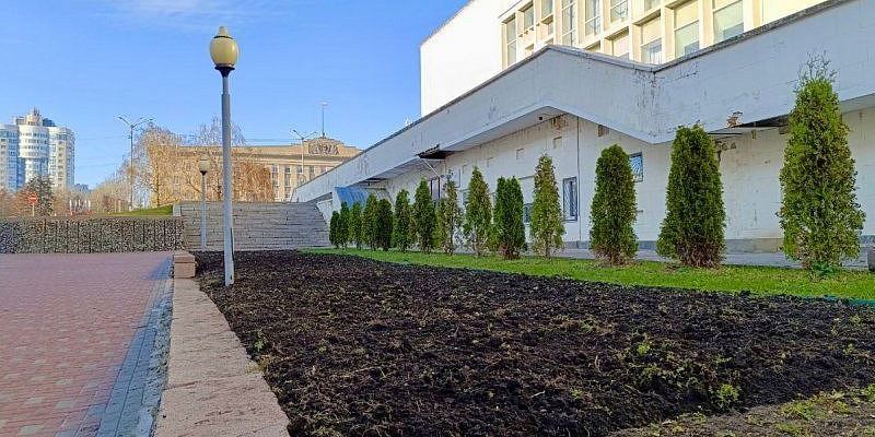 Весной орловские клумбы украсят тысячи тюльпанов