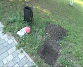 Орловчане устроили на «Дворянке» экологический open-air: как это было