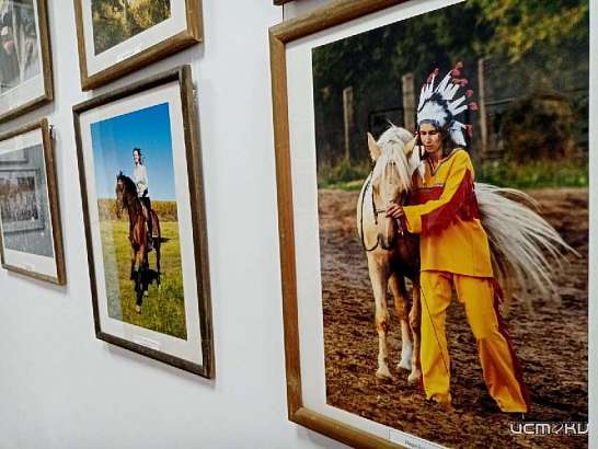 Фоторепортаж: педагог центра «Ракурс» открыла в Орле выставку «Вязки – верхом к мечте»