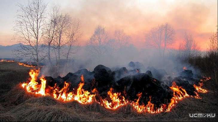 В Орле из-за горящей травы задыхается Заводской район города