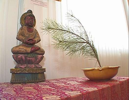 Япония в Орле