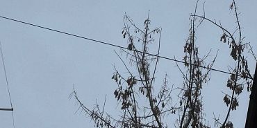 За ночь над Орловщиной сбили 9 беспилотников