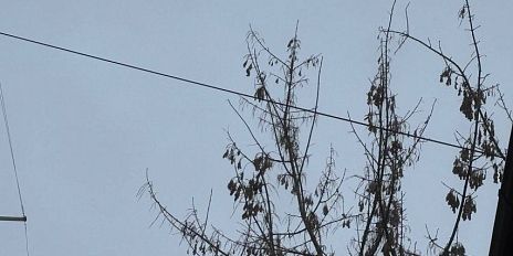 За ночь над Орловщиной сбили 9 беспилотников