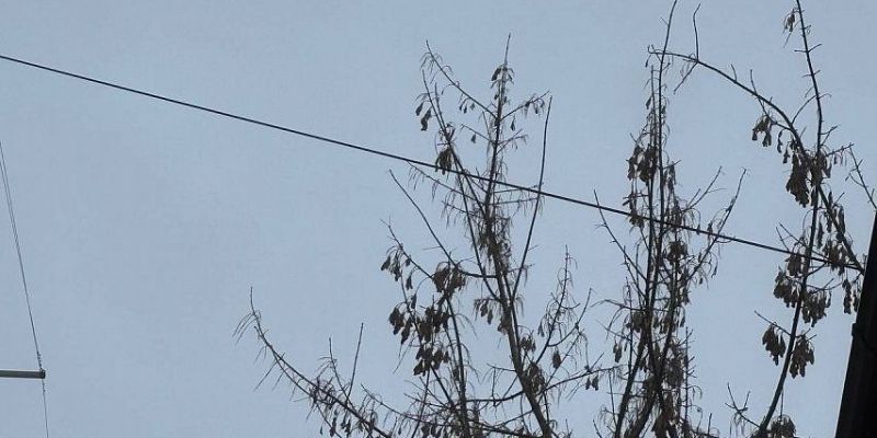 За ночь над Орловщиной сбили 9 беспилотников