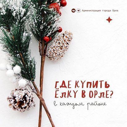 Ёлочные базары заработают во всех районах Орла 