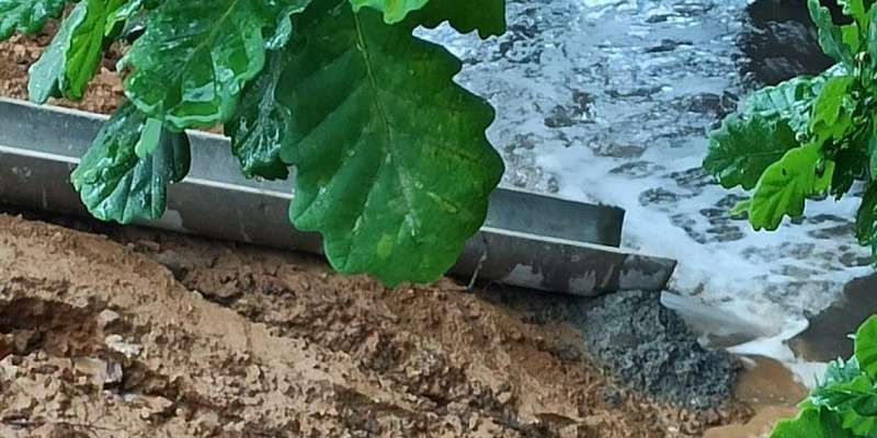 Утята в грязном пруду: народный корреспондент обратил внимание на проблемы экологии