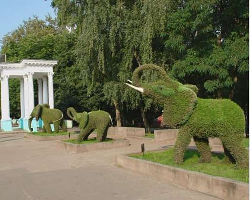 Совхоз Коммунальник – арест топиарных фигур