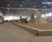 На соревнованиях в Орле почтили память выдающихся легкоатлетов региона