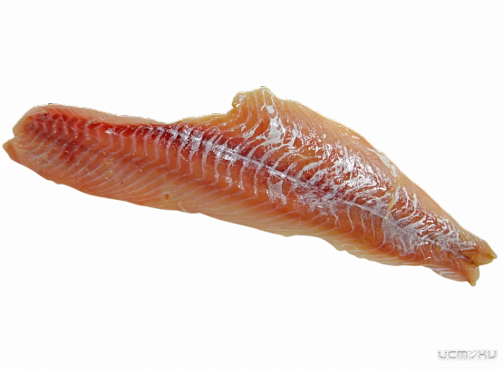 Орловский ветврач одобрил негодную рыбу