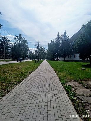 Определен новый народный корреспондент