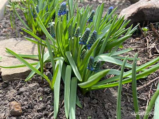 Неделя на Орловщине была по-летнему жаркой, но погода меняется