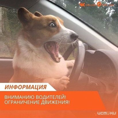 В Орле ограничат движение 