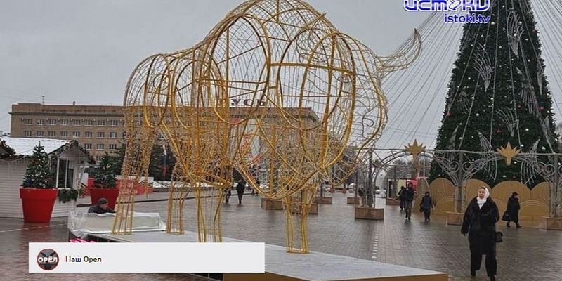 Зубры на площади Ленина. Экспресс - новости.