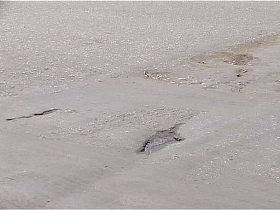 Новости Орел – рубрика за 90 секунд