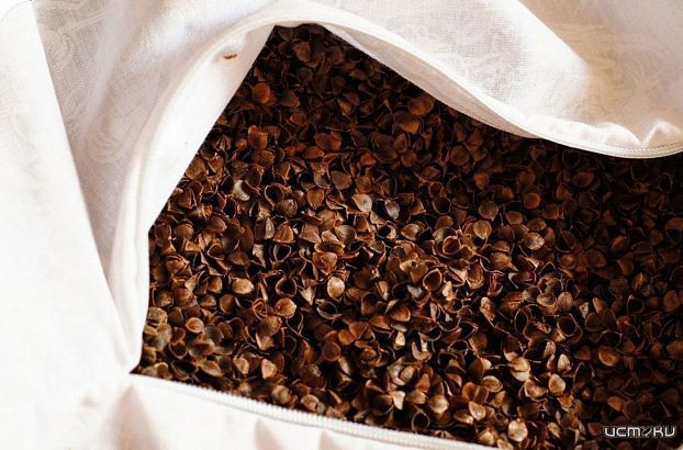 Орловская лузга - на экспорт  Орловская лузга - на экспорт