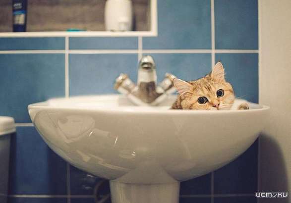 У орловчан снова проблемы с горячей водой 