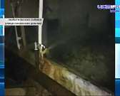 Пост - крик о помощи