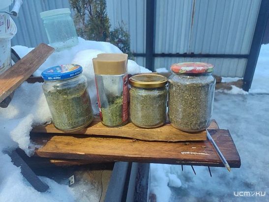 У орловчанина изъяли более 300 граммов марихуаны