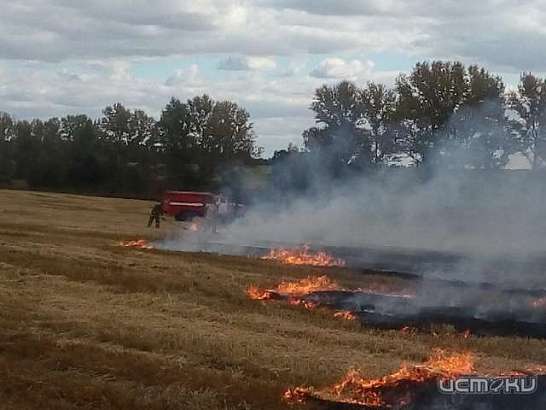 Возгорания фиксируем с космоса. В Орловской области подтвердилась одна термоточка