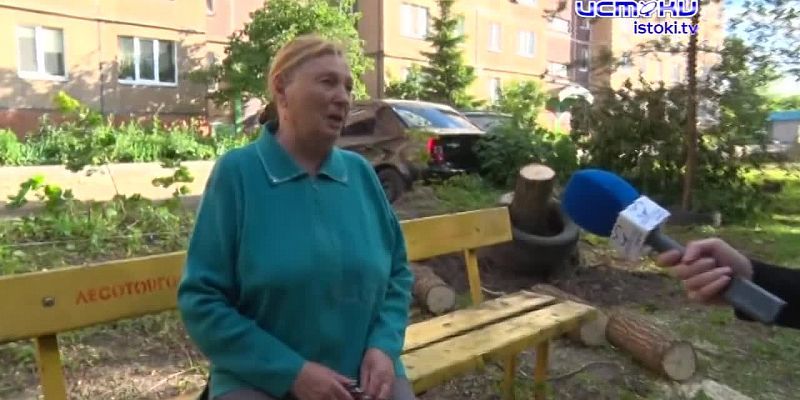 Деревья или парковка: камень преткновения одного двора1720516831