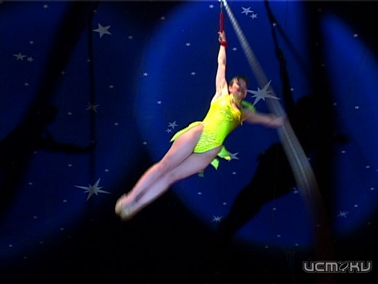 Роман с медведем: на гастроли вновь приехал цирк Романа Коробко 