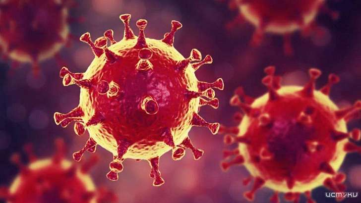 В Орловской области на коронавирус проверили уже более 700 человек