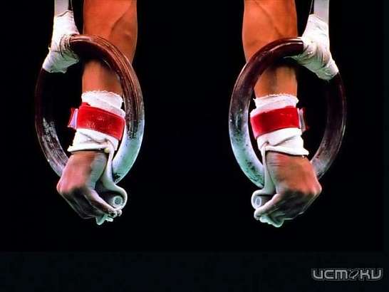 Орловский спортсмен стал призером кубка Америки по спортивной гимнастике