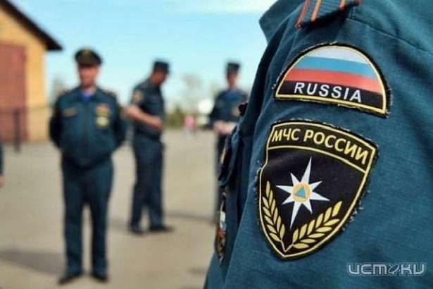 В одной из орловских квартир вскрыли пол, чтобы спасти щенка