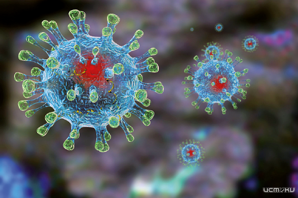 Новых штаммов COVID-19 на Орловщине пока нет
