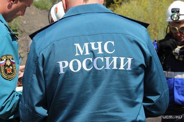 В Орле на территории детского сада уничтожили осиное гнездо